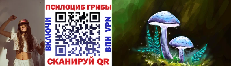 Купить  Белый  Галлюциногенные грибы Magic Shrooms 